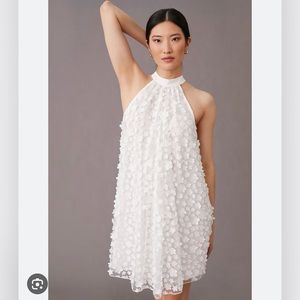 Eva Franco Halter Swing Mini Dress, size 8